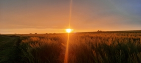 黄昏原野落日残阳图片